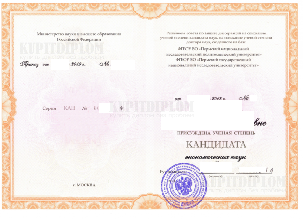 Диплом кандидата экономических наук выданный в ПНИПУ в 2019 году